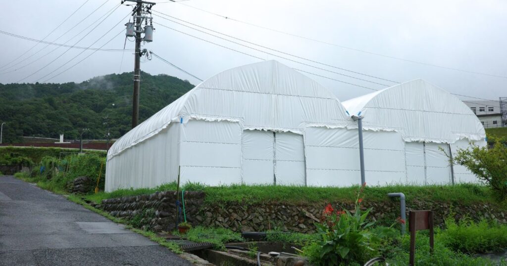 広島市安佐北区のとらいあんぐる農園｜白いビニールハウス外観