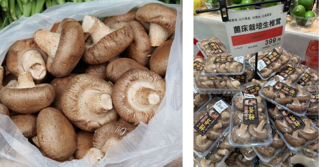 大丸神戸店「OK!!広島」フェアに出店したとらいあんぐる農園の自慢の肉厚しいたけ。広島・安佐北の自然で育った香り豊かな秋の味覚。