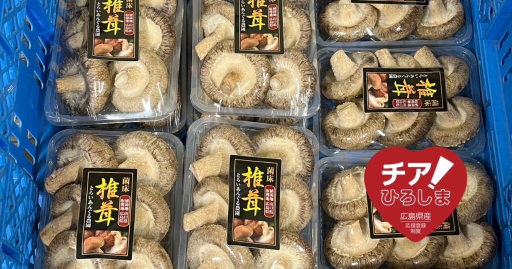 広島県産応援登録制度「チア！ひろしま」に認定された、とらいあんぐる農園の生しいたけ出荷風景