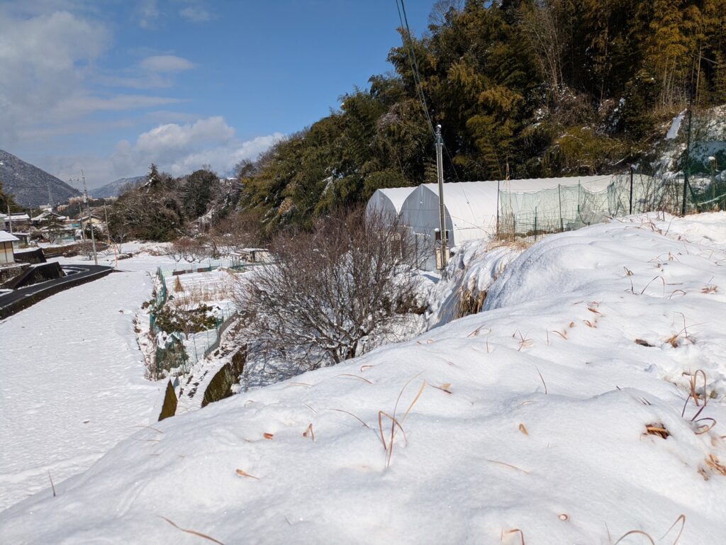 雪に覆われた里山の斜面と、とらいあんぐる農園のハウス風景