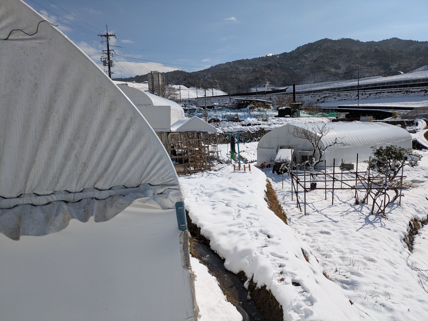 雪に包まれたとらいあんぐる農園の全体風景と周囲の里山