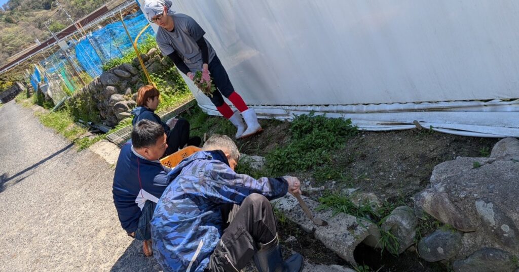 農園周辺での作業風景 手入れを行うスタッフの様子 とらいあんぐる農園