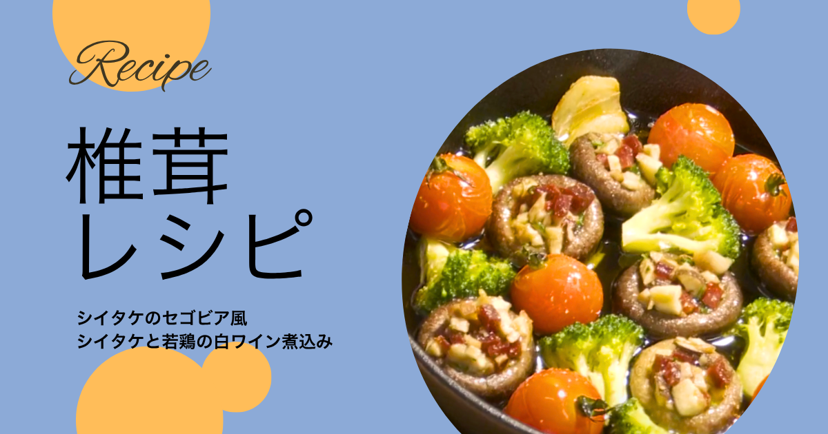 とらいあんぐる農園の椎茸を使った洋風レシピ。シイタケのセゴビア風と、若鶏と椎茸の白ワイン煮込みを紹介する料理写真。ブロッコリーとミニトマトを添えた、肉厚しいたけの華やかな一皿。