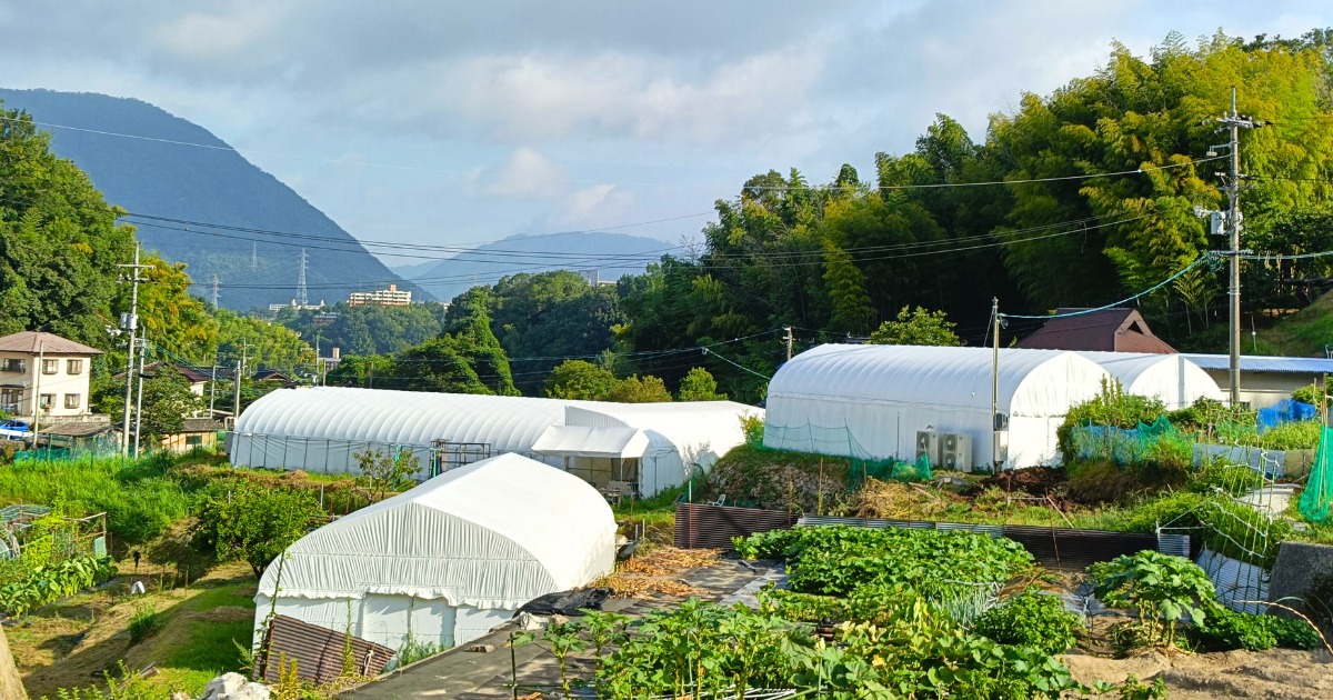 広島・安佐北の山間にあるとらいあんぐる農園の風景。