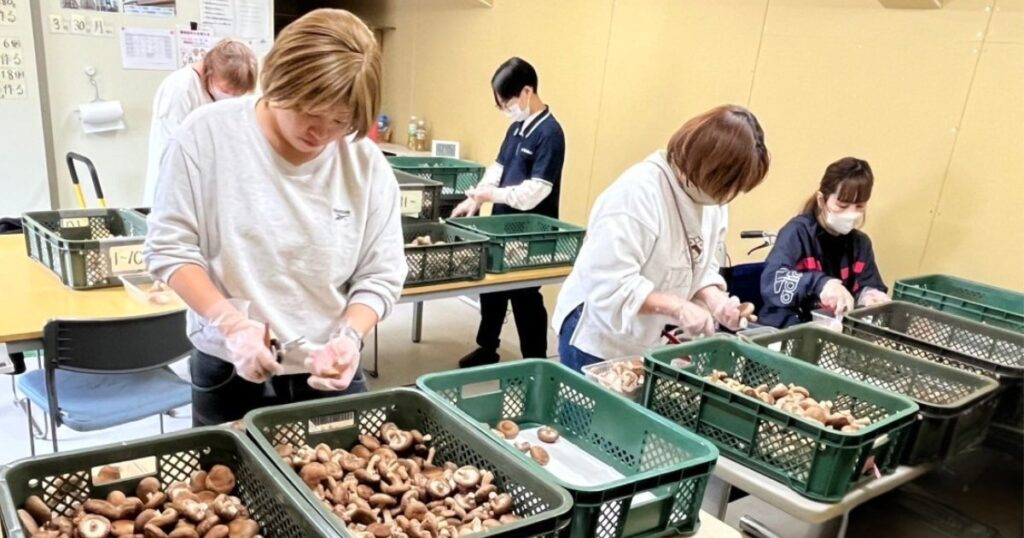 とらいあんぐる農園で椎茸を選別・加工する作業風景